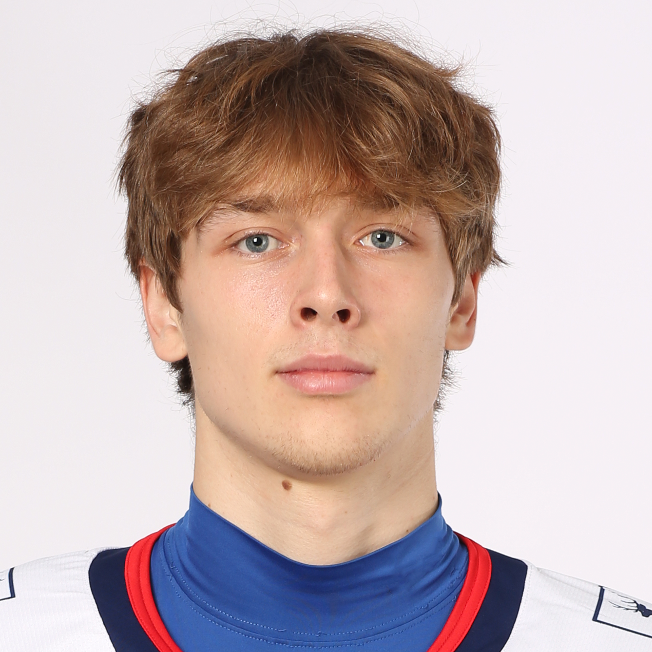 Лев Сальников