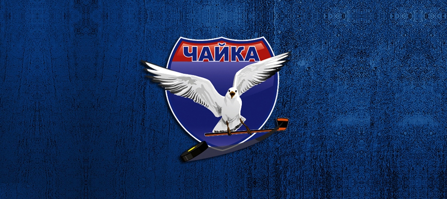Сайт нижегородской чайки. Чайка эмблема. Хк Чайка логотип. Хк Чайка герб. Эмблема Чайка для команды.