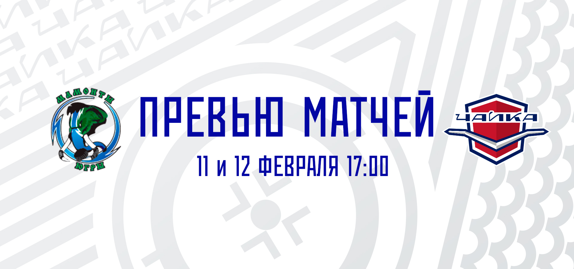 «Чайка» отправляется в гости к «Мамонтам Югры»