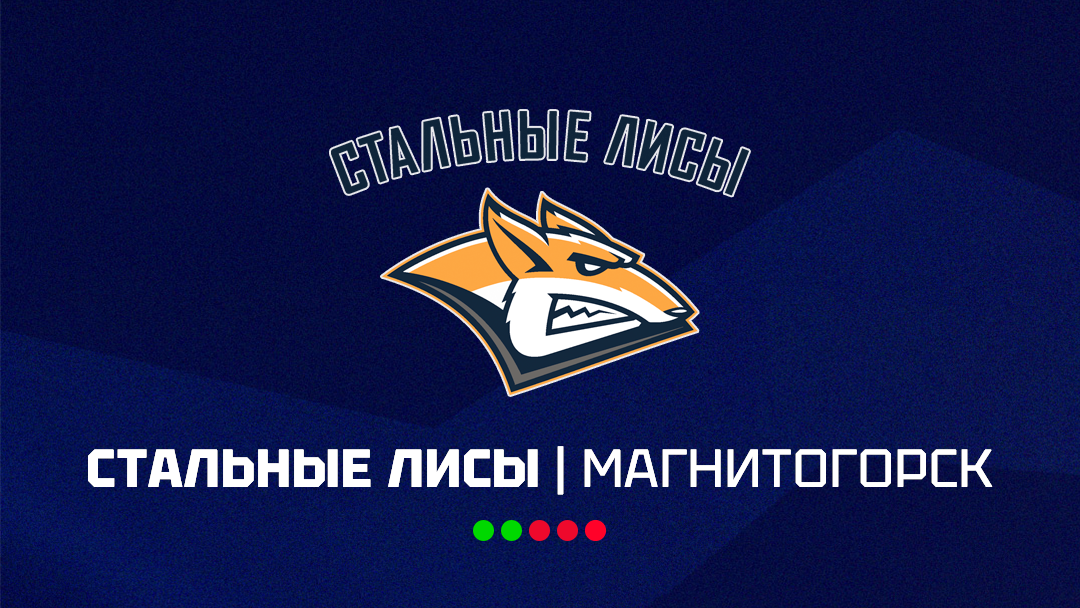 «Стальные Лисы»: разбор соперника «Стальные Лисы»: разбор соперника